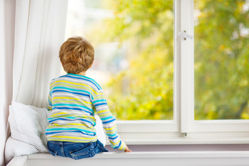 ittle kid boy sitting near window and looking on autumn trees