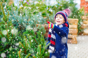 Wall Mural - beautiful smiling little boy holding christmas tree