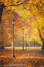 Colorful Tree Alley With Row Of Lanterns In The Autumn Park On A Sunny Day In Krakow, Poland