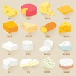 Cheese varieties. Flat design vector icon set.