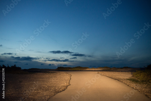 фотографія  Night road