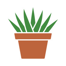 Aloe Aristata Succulent Potted Plan Flat Color Icon For Apps And Websites