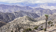 Mojave Desert Views From Warren Peak, Joshua Tree National Park, California, USA.