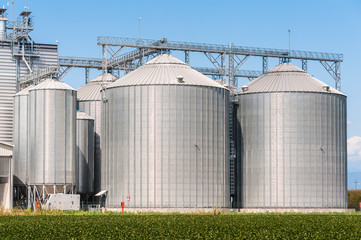 Wall Mural - Storage silos for agricultural (cereal) products