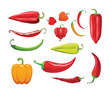Hot peppers. Different sorts of hot peppers in all colors, shapes and sizes. Chili. Vector illustration.