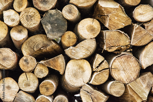 Photographie Fond de bûches de bois, thème de la déforestation