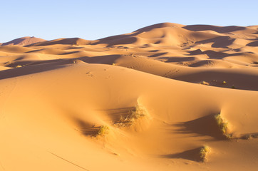 Sahara desert in Morocco