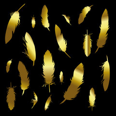 Wall Mural - Luxury gold feathers set on black background. hand drawn vector illustration. boho theme elements