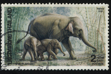 Sticker - elephant