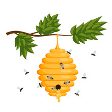 Yellow Bee Hive On A White Background. Bee Hive Isolate. Stock V