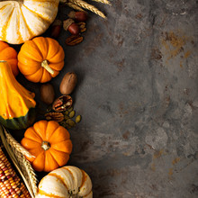 Fall Background With Pumpkins