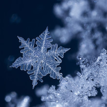 Crystal Blue Snowflake At Night.jpg