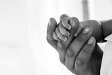Fototapeta Desenie - Dad is holding baby hand. Black and white photo