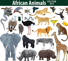 wild african animals set with zebra ostrich lion rhinoceros hippo snake leopard vulture parrot goril