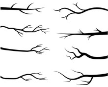 Bare Tree Branch Silhouettes, Black Branches Without Leaves