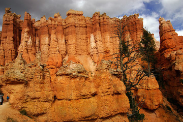 Poster - Elaborately eroded pinnacles and hoodoos