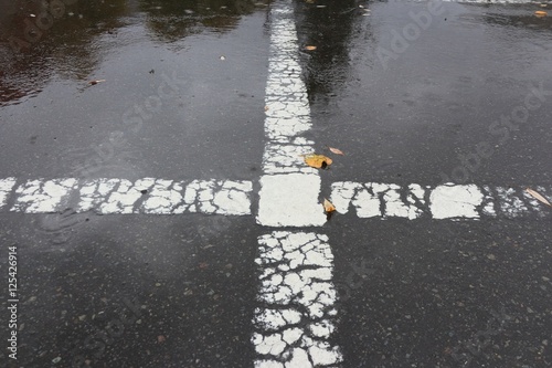 雨のアスファルトに濡れた落ち葉と白線 Stock Photo Adobe Stock