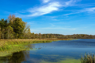 Canvas Print - Muscatatuck National Wildlife Refuge in Indiana