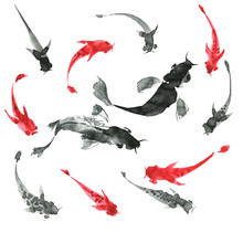 Sumi-e Hand Drawn Fishes, Black And White. Japan Traditional Sty