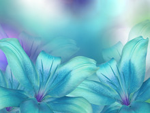 Blue- Turquoise Lilies  Flowers,  On Turquoise-purple-blue Blurred Background .  Closeup.  Bright Floral Composition Card For The Holiday.  Nature.