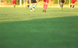 © Africa Studio - Soccer game players on field