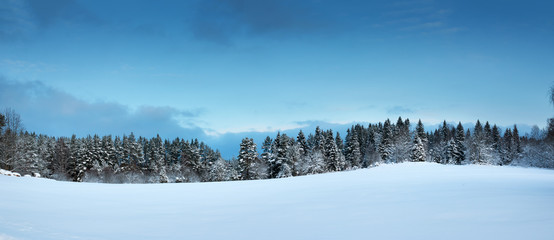 Canvas Print - Trees in winter landscape in late evening in snowfall