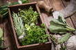 © marcin jucha - aromatic herbs for healthy cooking