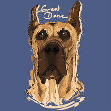Great Dane Painting Poster