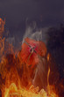 Poppy on fire