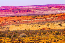 Yellow Orange Red Painted Desert Arches National Park Moab Utah
