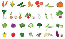 25 Verschiedene Bunte Gemüsesorten