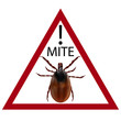 Warning sign. Carefully harvest bug. illustration