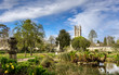 Pond and plantation at University of Oxford botanic gardens