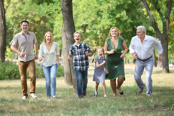 Poster - Large happy family walking in park