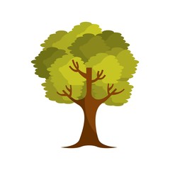 tree plant isolated icon vector illustration design