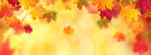 Autumn Abstract Background With Falling Leaves
