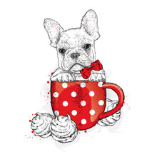 French Bulldog In A Cup. Cup And Marshmallows. Vector Illustration For Greeting Card, Poster, Or Print On Clothes. Cute Puppy. Pedigree Dog.