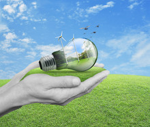 Light Bulb With Wind Turbines, Birds And Forest Inside In Hands