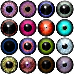 Set of different colored eye iris at white background