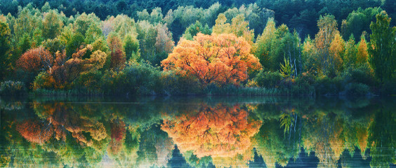 autumn lanscape with trees reflection in water