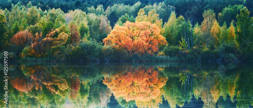 autumn-lanscape-with-trees-reflection-in-water