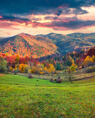 Fototapete - Colorful autumn landscape in the Carpathian mountains.