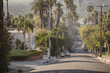 Classical Hollywood street view with palms and hills.