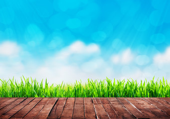 Wall Mural - grass background