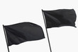 two black flags isolated