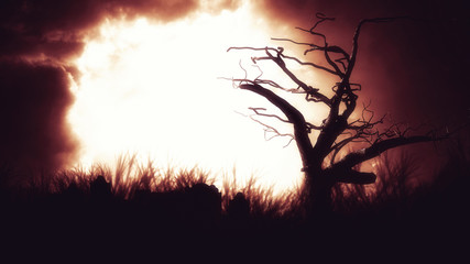 Wall Mural - Horror Spooky Tree Dark Night .