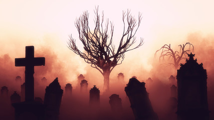 Wall Mural - dark horror forest gravestone background.