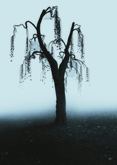 Wall Mural - Horror Spooky Tree Dark Night .