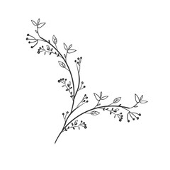 Wall Mural - gray scale decorative branch with leafs vector illustration