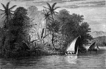 Wall Mural - a view celebes, vintage engraving.